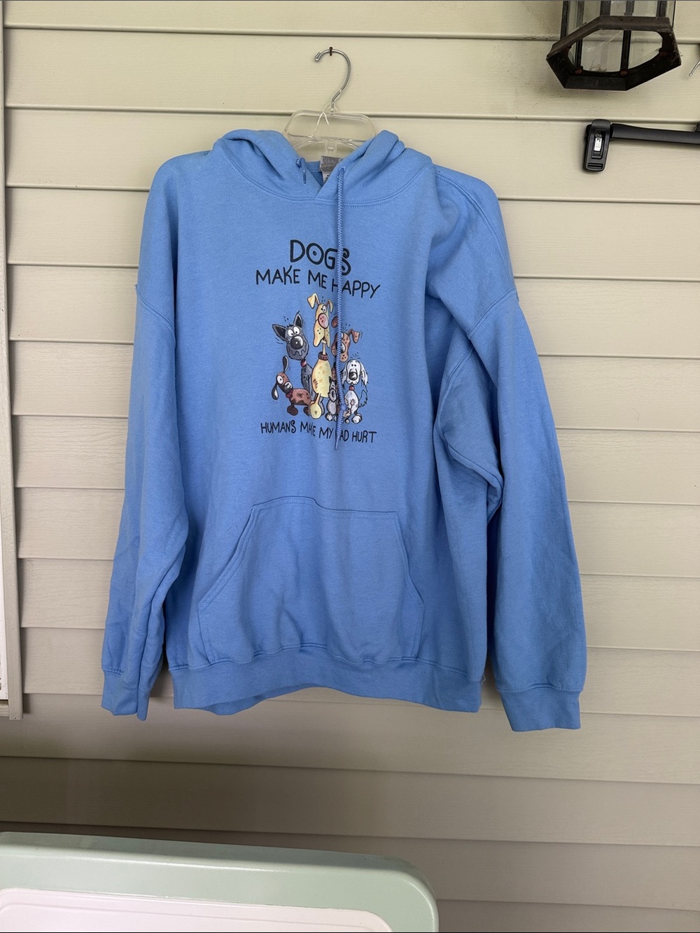 Gildan Light Blue Graphic Hoodie